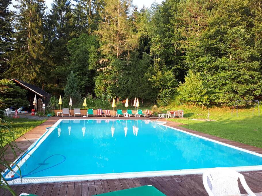 רייפניץ Haus Sonnenhang +Seeblick+Pool מראה חיצוני תמונה