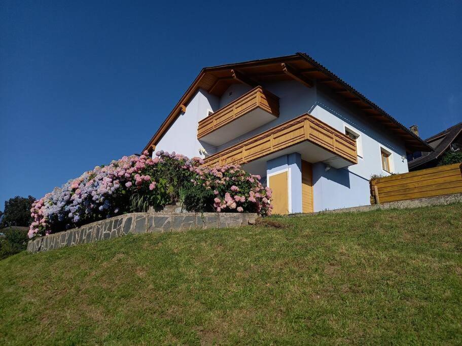 רייפניץ Haus Sonnenhang +Seeblick+Pool מראה חיצוני תמונה