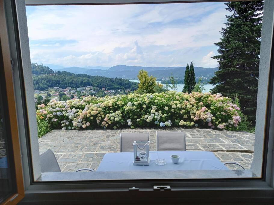 רייפניץ Haus Sonnenhang +Seeblick+Pool מראה חיצוני תמונה