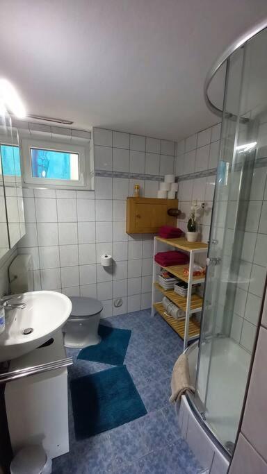 רייפניץ Haus Sonnenhang +Seeblick+Pool מראה חיצוני תמונה