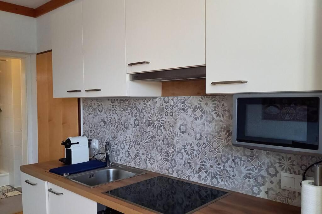 רייפניץ Haus Sonnenhang +Seeblick+Pool מראה חיצוני תמונה