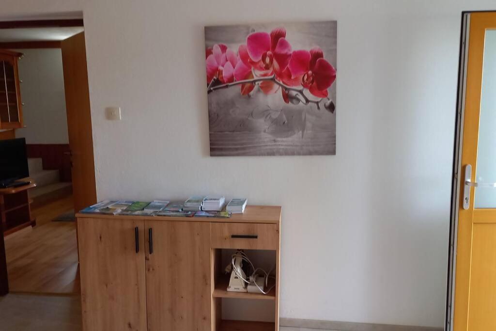 רייפניץ Haus Sonnenhang +Seeblick+Pool מראה חיצוני תמונה