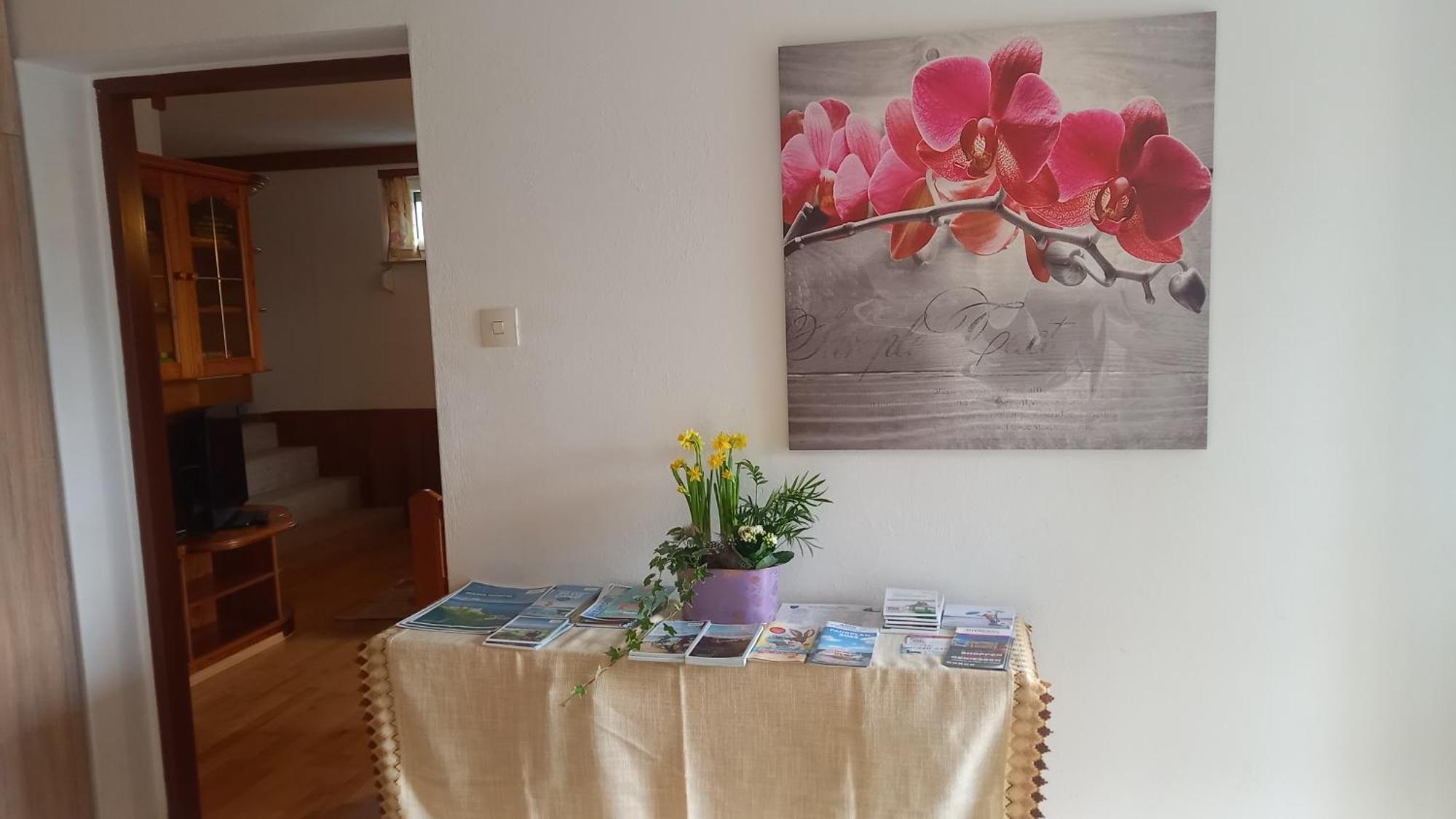 רייפניץ Haus Sonnenhang +Seeblick+Pool מראה חיצוני תמונה